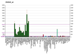 PBB GE WASF3 204042 bei fs.png