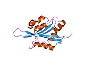 PDB 1vfq EBI.jpg