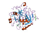 1zgi: thrombin in complex with an oxazolopyridine inhibitor 21