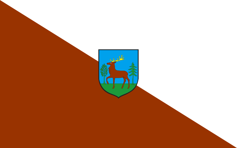 File:POL Złotów flag.svg