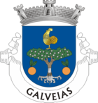 Wappen von Galveias