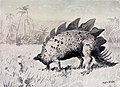 Incontro con uno stegosauro