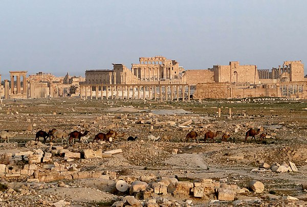 The ruins of Palmyra in 2010