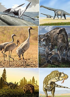 1-й ряд: Dorygnathus, аламозавры; 2-й ряд: серые журавли, эдмонтозавры; 3-й ряд: стиракозавр и Scolosaurus, дасплетозавр.