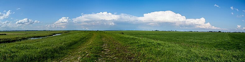 Panorama of thunderstorms