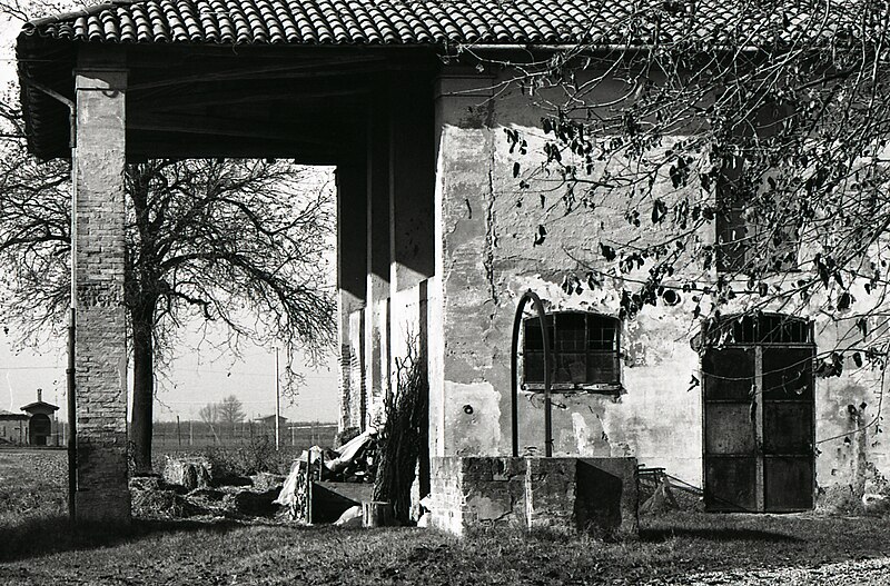 File:Paolo Monti - Servizio fotografico (Italia, 1981) - BEIC 6330920.jpg