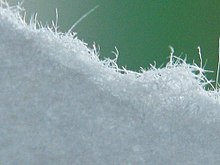 Fibres sticking out of the side of a paper sheet