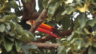 Parque Nacional Serra da Canastra Flavia Tasso (07).tif