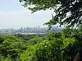 Миниатюра для Файл:Parque Natural Metropolitano - Vista hacia la ciudad desde el mirador - panoramio.jpg