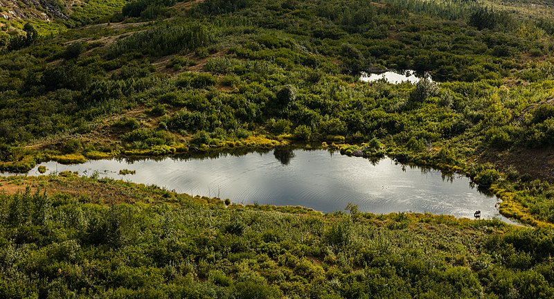 File:Parque estatal Chugach, Alaska, Estados Unidos, 2017-08-22, DD 68.jpg