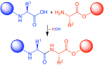 Thumbnail for Peptide synthesis