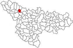 Location in Timiș County