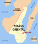 Localisateur de Ph negros oriental amlan.png