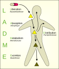 Миниатюра для ADME