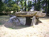 Campeonato P - Megaliths of Ménardeix (05) .jpg