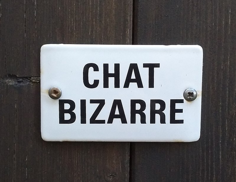 File Plaque Chat Bizarre Jpg Wikimedia Commons