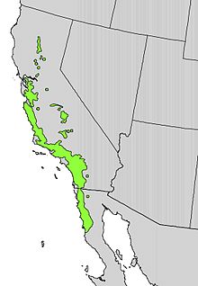 Platanus racemosa range map.jpg