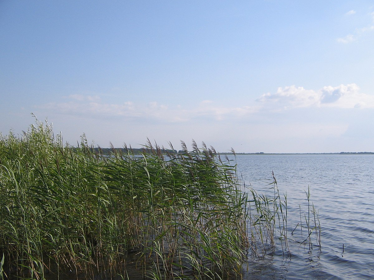 Деревня Погост Загородский