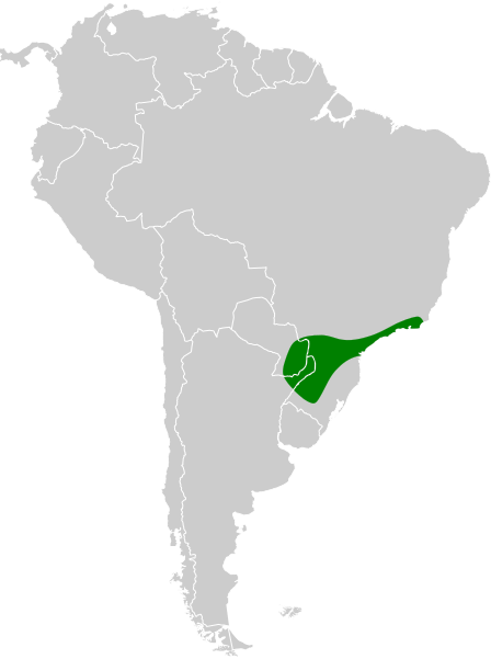 File:Polioptila lactea map.svg