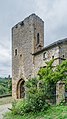 * Nomination Porte de la Barbacane in Peyrusse-le-Roc, Aveyron, France. --Tournasol7 00:05, 28 February 2018 (UTC)  Comment A few black dots on the sky that should be removed (see the note). --Halavar 00:29, 28 February 2018 (UTC)  Done, Tournasol7 19:54, 28 February 2018 (UTC) * Promotion  Support Good now. QI for sure. --Halavar 17:53, 2 March 2018 (UTC)