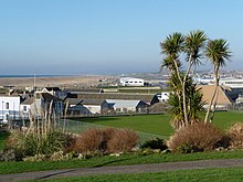 Victoria Gardens' bowling green. Portland, Victoria Gardens palm trees - geograph.org.uk - 1093119.jpg