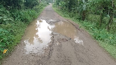 Water filled potholes on a village road of India.