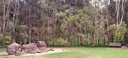 A dry riparian forest in Western Sydney Prospectcreek.jpg