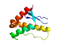 Protein SNX17 PDB 3FOG.png