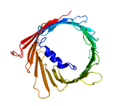 Ақуыз VDAC1 PDB 2JK4.png