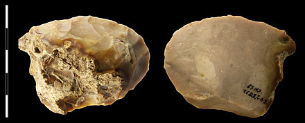Flint knappers of the Neanderthal Mousterian culture. Similarly shaped mammoth bone pieces at Hofacker's Brickyard, suggest an ancient battleground. This particular set of stones was found in the Grotte du Noisetier in the French department of Hautes-Pyrénées)