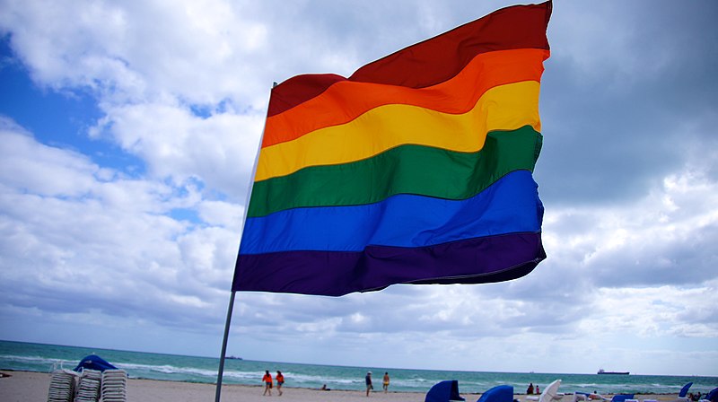 800px-Rainbow_flag_in_Miami.jpg (800×448)