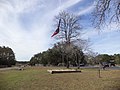 Reed Bingham State Park flagpole near park office