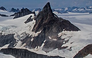 <span class="mw-page-title-main">Rhino Peak</span> Mountain in the state of Alaska