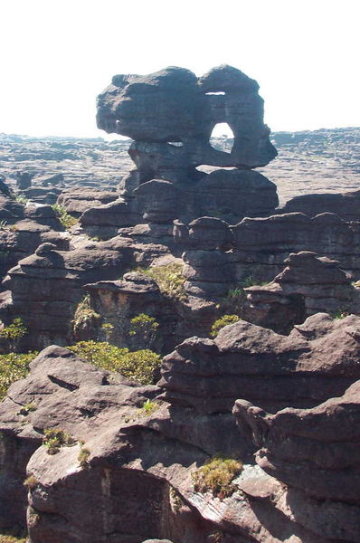 Ficheiro:Roraima-Tepui Plateau.jpg