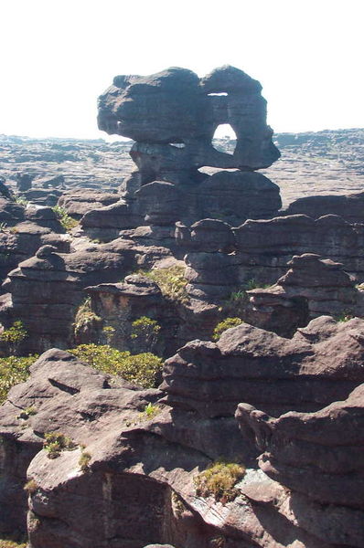 File:Roraima-Tepui Plateau.jpg