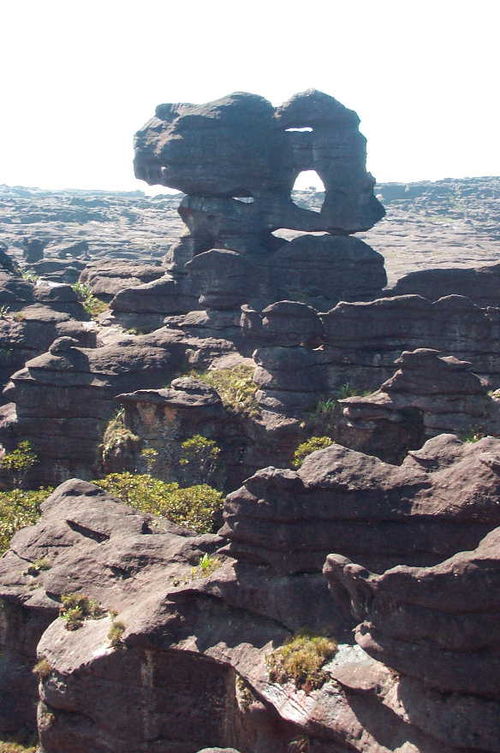 The plateau of Mount Roraima – the peculiar rock formation is caused by erosion.