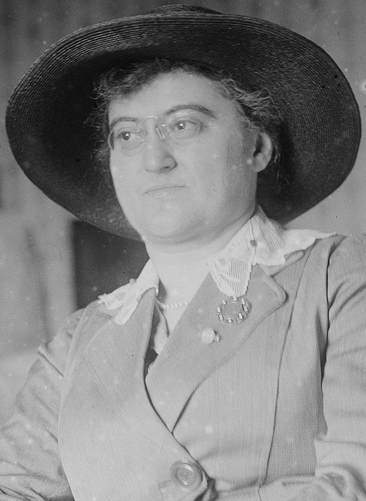 Rosika Schwimmer was na de Eerste Wereldoorlog korte tijd de Hongaarse ambassadeur in Zwitserland en was daarmee de eerste vrouwelijke ambassadeur.