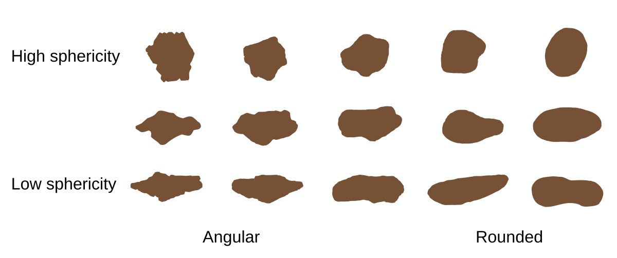 The volume, cross-sectional area (CSA), sphericity (S), shape index