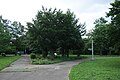 Roy Wilkins Park td (2019-06-21) 022 - Flower Garden.jpg