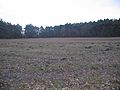 Ruhland, forest path behind the motorway bridge, view to the southeast, winter;  On the Autobahn (north) (field name), formerly here near the old pasture (old field name)