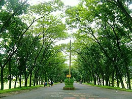 The 1 km; entranceway to SUST campus SUST 1 km entrance way.jpg