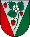 Coat of airms o Sala Municipality