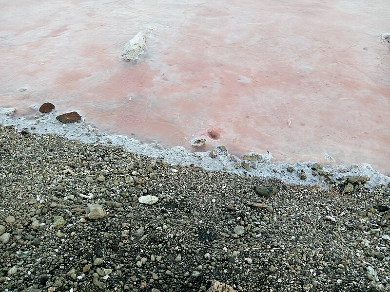 File:Salt Brine at Lake Magadi Kenya.jpg