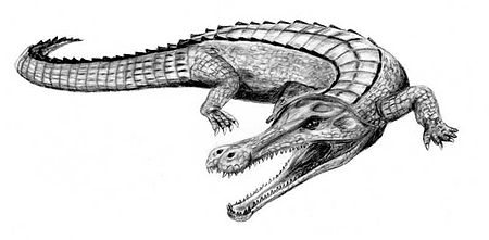 Tập_tin:Sarcosuchus_BW.jpg