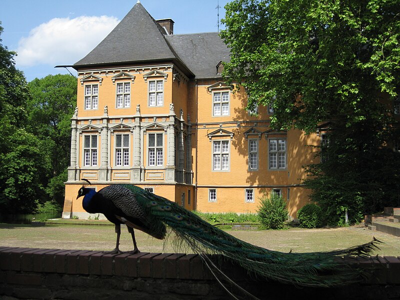 File:Schloss Rheydt Innenhof.jpg