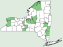Sedum ternatum NY-dist-map.png