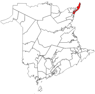 <span class="mw-page-title-main">Shippagan-Lamèque-Miscou</span> Provincial electoral district in New Brunswick, Canada