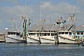 Shrimpboats in Corpus Christi, TX.JPG