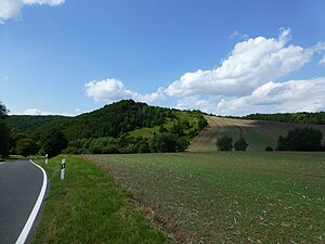 The Stürzlieder Berg seen from the direction of Bornhagen