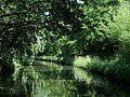 Thumbnail for File:Staffordshire and Worcestershire Canal near Calf Heath, Staffordshire - geograph.org.uk - 2188749.jpg